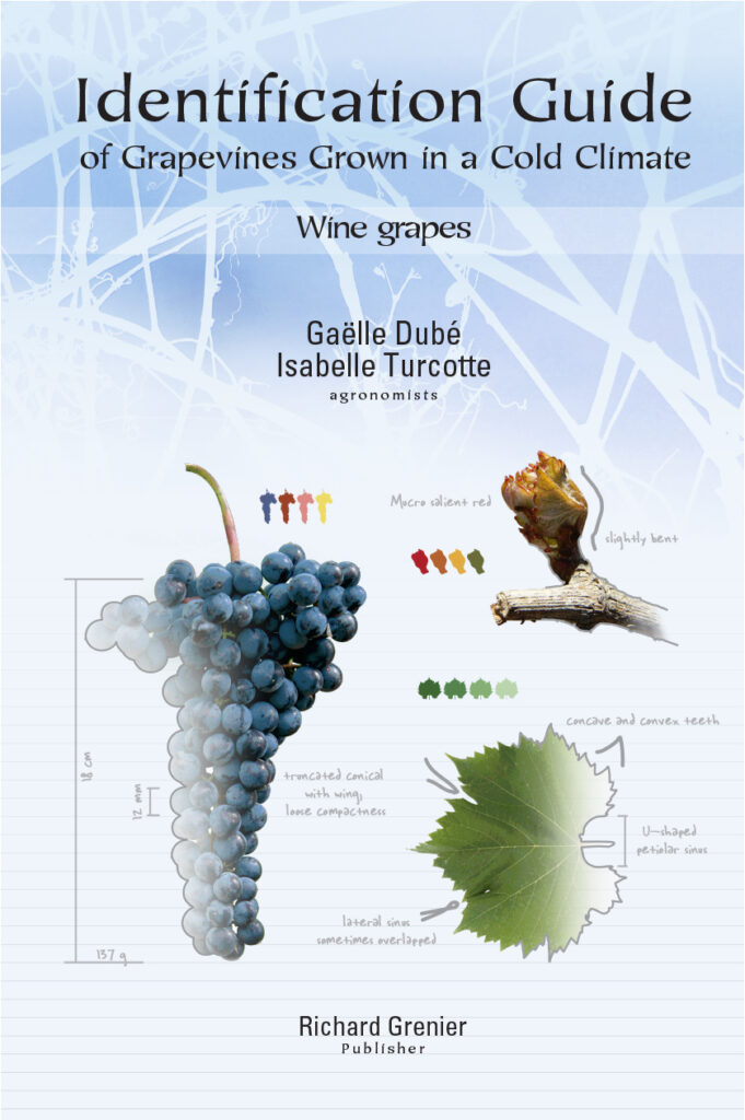 Guide of table grapes