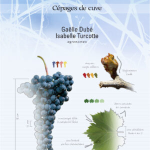 Guide de raisins de cuve couverture fr