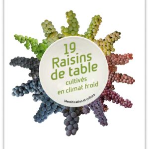 19 raisins de table cultivés en climat froid